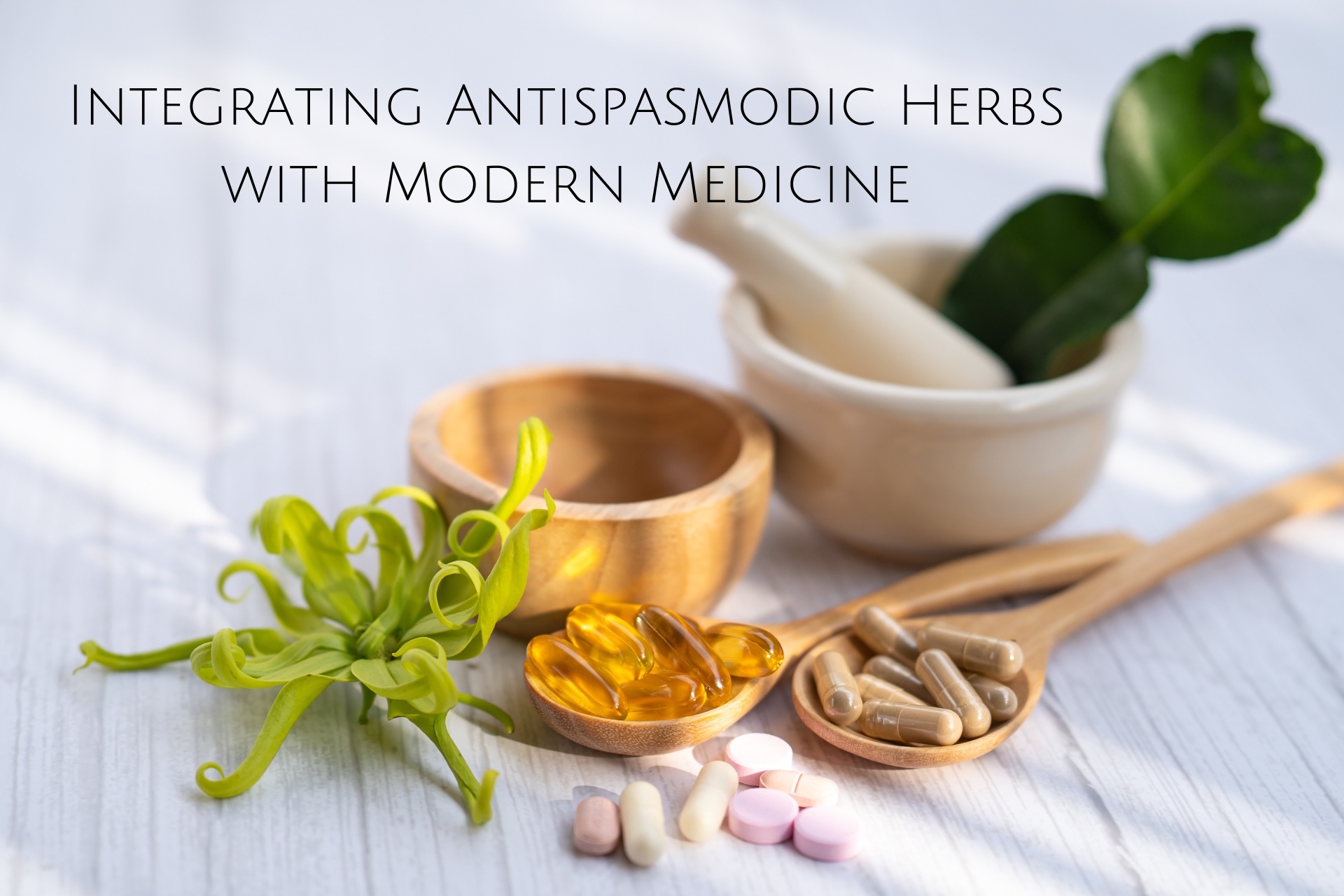 Integrating Antispasmodic Herbs with Modern Medicine