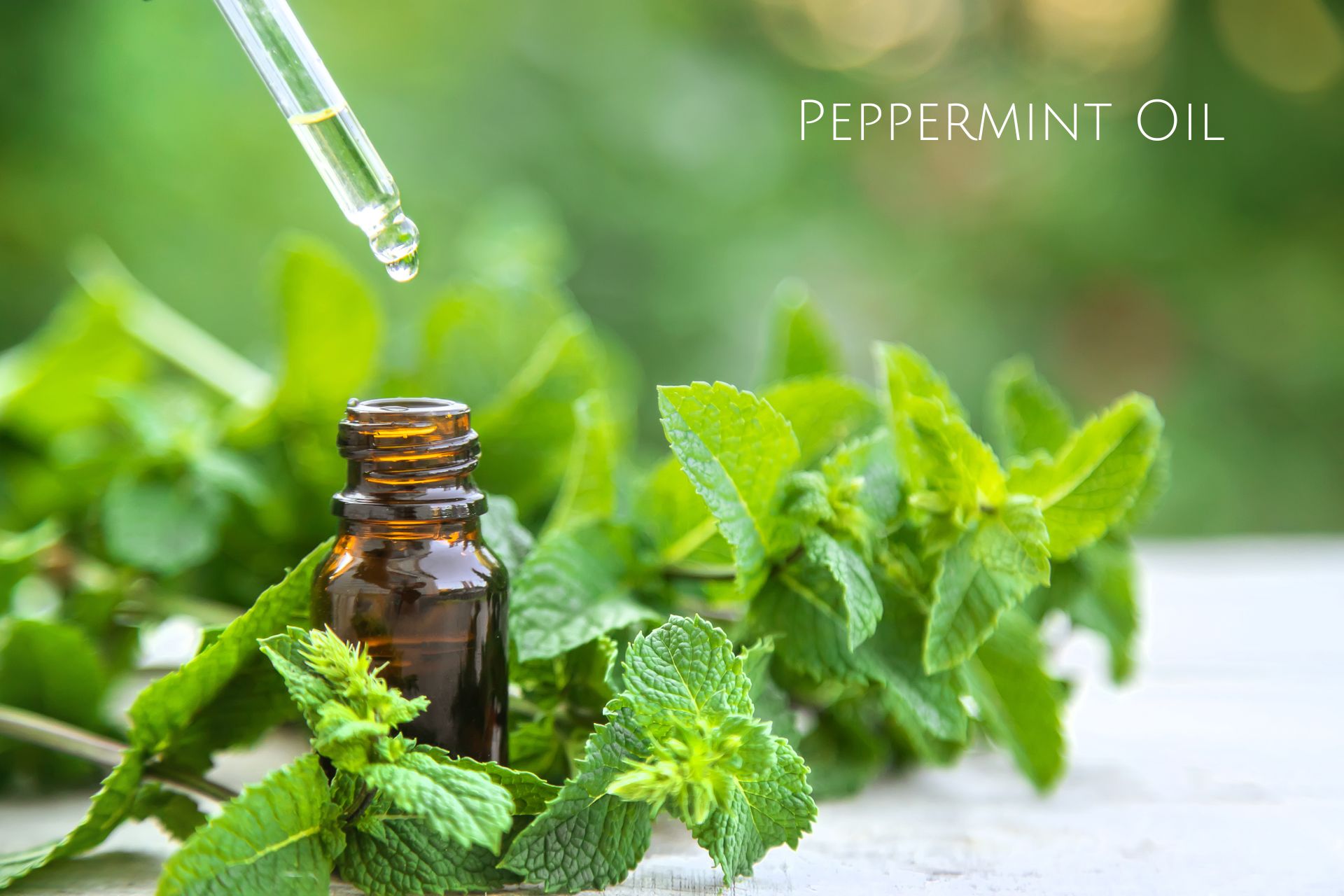 Peppermint Oil