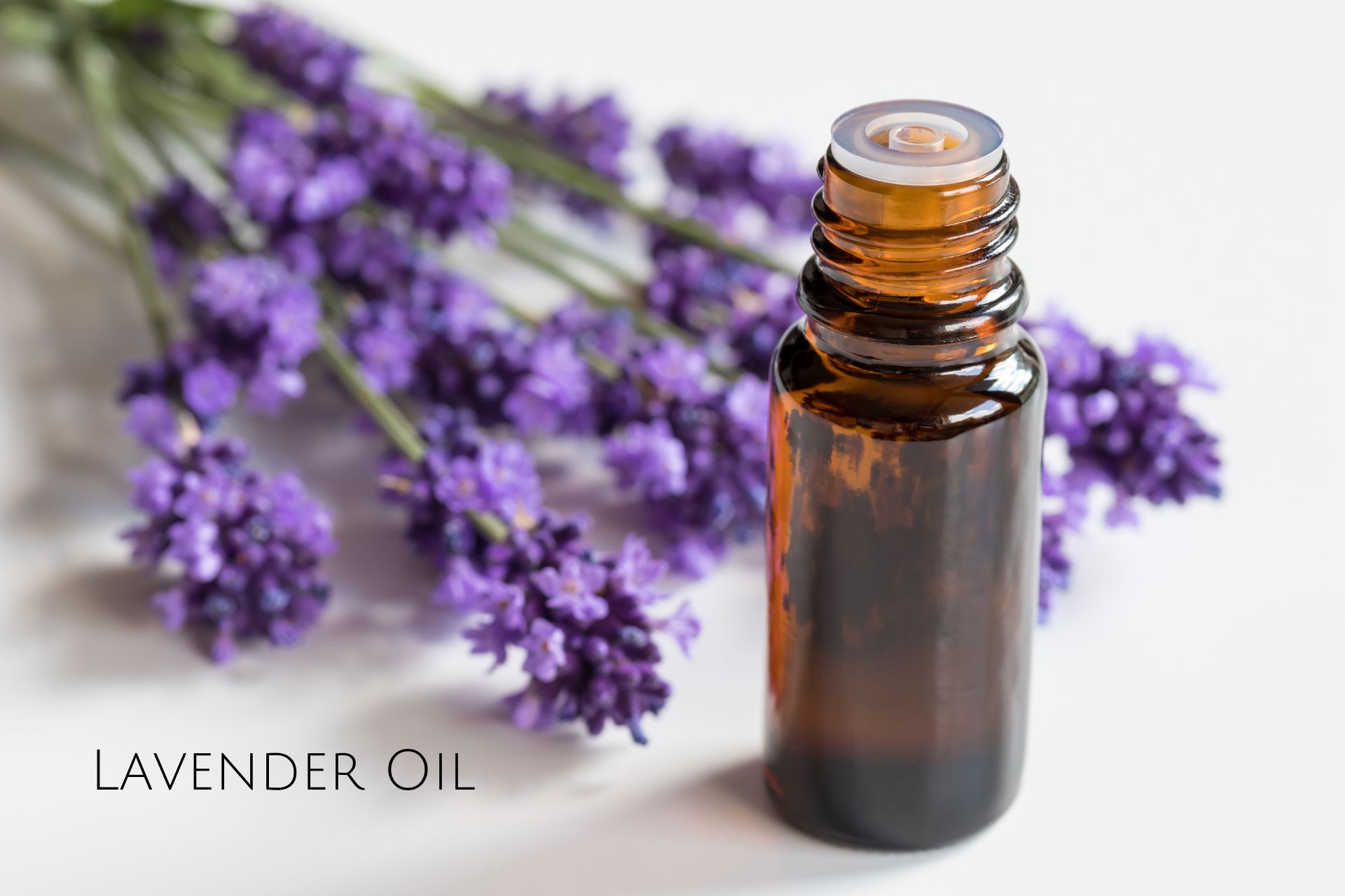 Lavender Oil