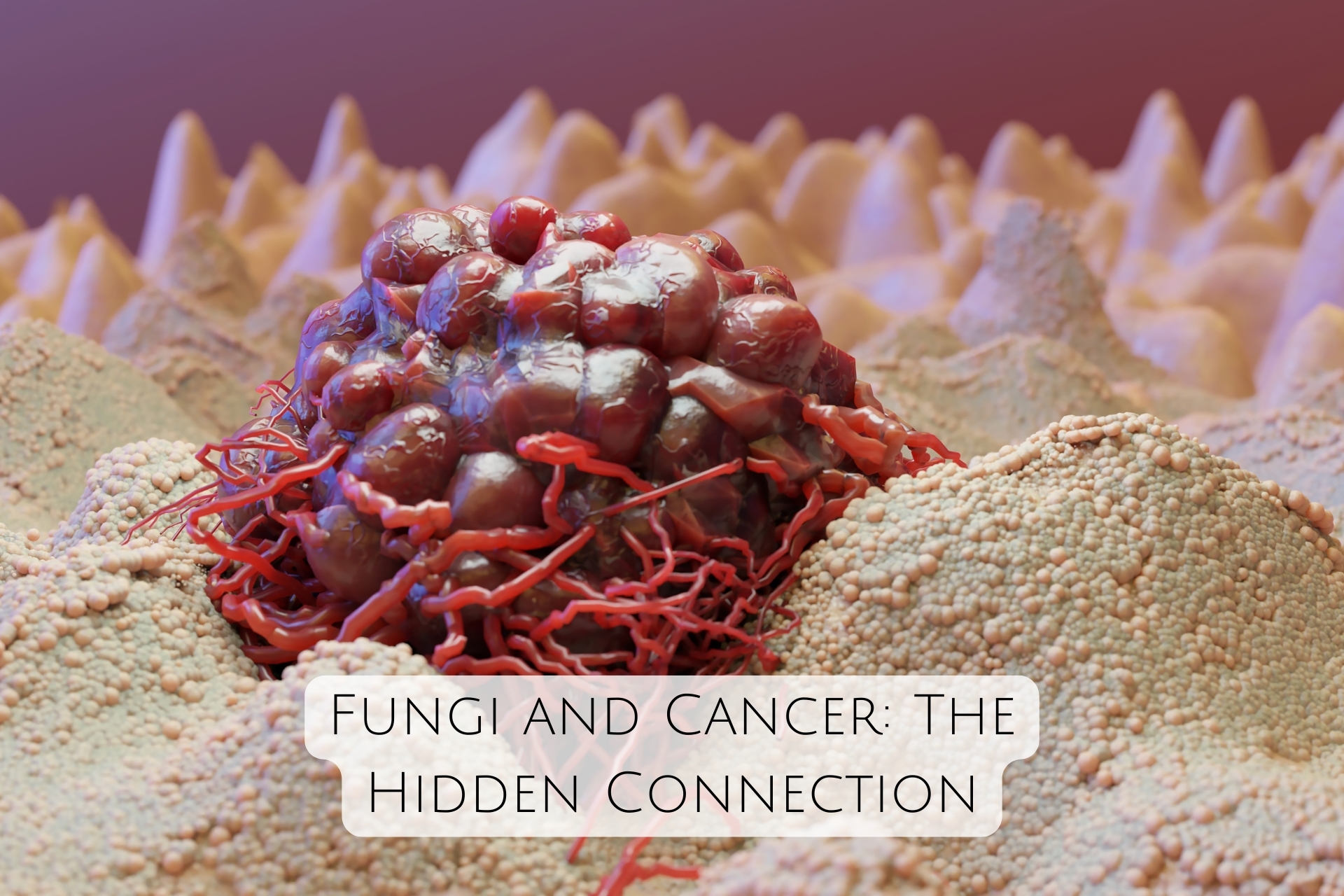 fungus-3.jpg