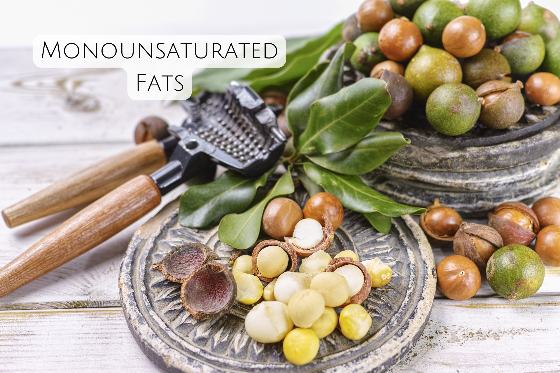 Monounsaturated Fats