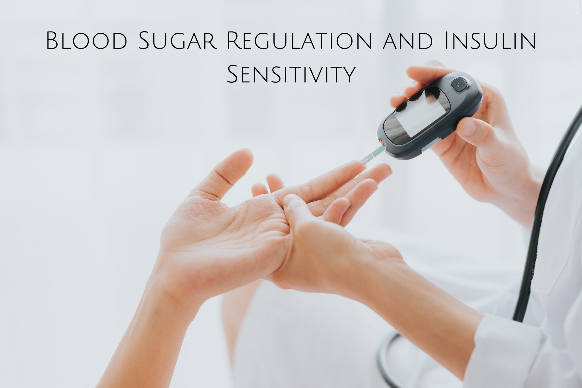 Blood Sugar Regulation and Insulin Sensitivity