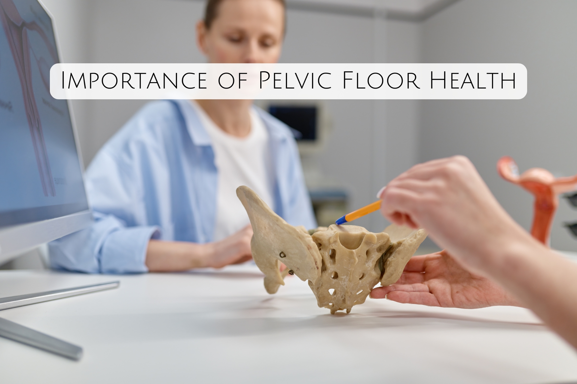 Importance of Pelvic Floor Health