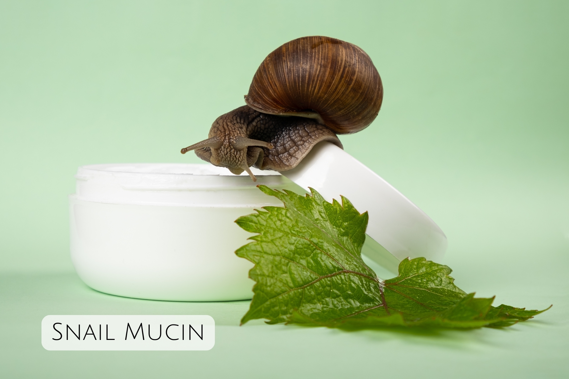 the-c-beauty-revolution-how-chinese-skincare-douyin-makeup-are-taking-over-the-world-7-.jpg
